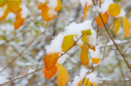 Жаңбыр мен қар: үш күнге арналған ауа райы болжамы