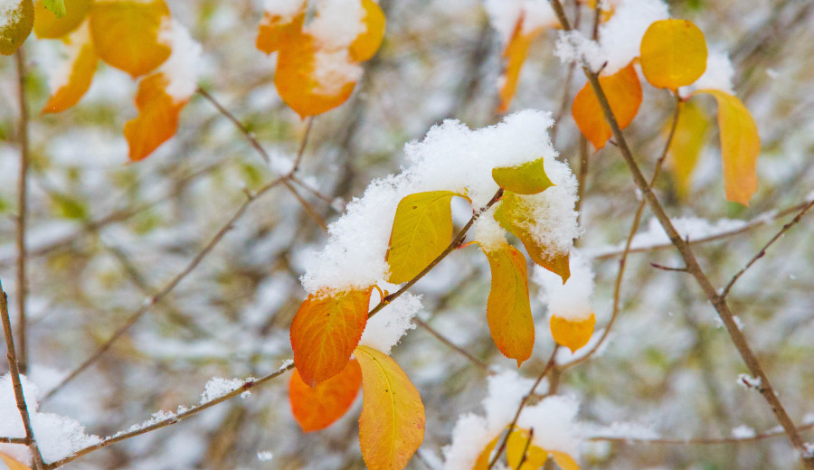 Жаңбыр мен қар: үш күнге арналған ауа райы болжамы