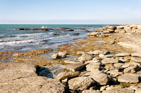 Тоқаев: “Каспий теңізі тез тартылып бара жатқаны алаңдаушылық туғызып отыр“