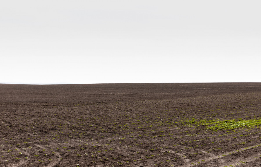 Түркістан облысында әкімдер жерді заңсыз таратқан