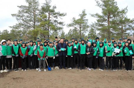 Ақтөбе облысында “Мектеп орманшылығы“ жобасы аясында 1350 түп ағаш отырғызылды