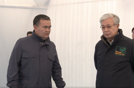 Тоқаев: вандализмге жол жоқ, бұзақыларды заң бойынша жауапкершілікке тарту керек