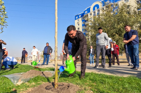 Шымкент әкімі қала тұрғындарымен бірге ағаш отырғызу акциясына қатысты