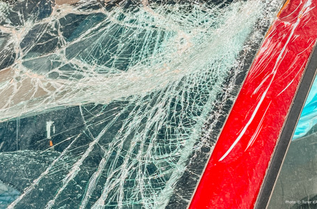 “Жыл, ай, апта емес, күн санап көбейіп барады“. Депутат қорқынышты статистиканы айтты