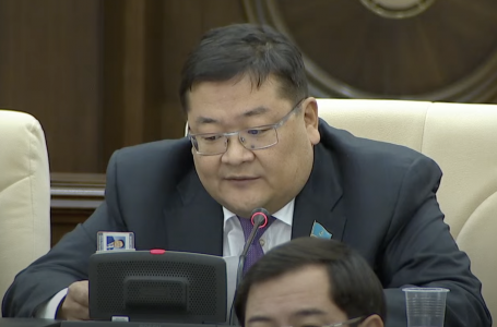 “Жалған диплом жасатып алған бақсы-құшнаштың, тренер-коучтің саны артып барады“ - депутат