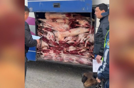 100-ден аса малдың еті тиелген: Жетісу облысында жолаушылар автобусы тоқтатылды 