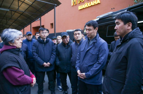 Заңсыз иемдену: Алматы әкімі бір шағынауданды тексеруді тапсырды