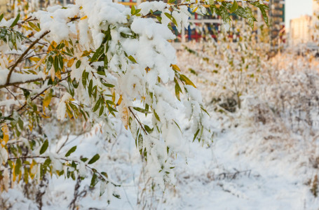 Жаңбыр мен қар жауады: бүгін ауа райы қандай болады?