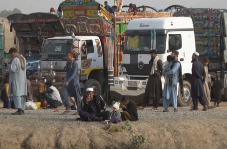 Еуропаның 20 елі ауғандарды жедел депортациялауды сұрады