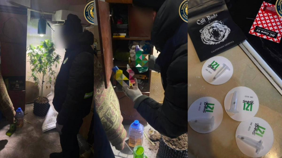 Шахтинск тұрғынының қорасынан күтпеген заттар табылды