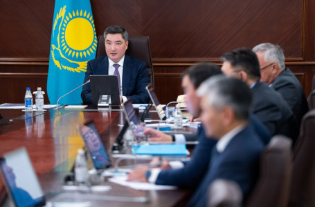 “Жол бойында байланыс тұрақсыз, ауылдарда өте баяу істейді“. Бектенов интернет сапасын сынады