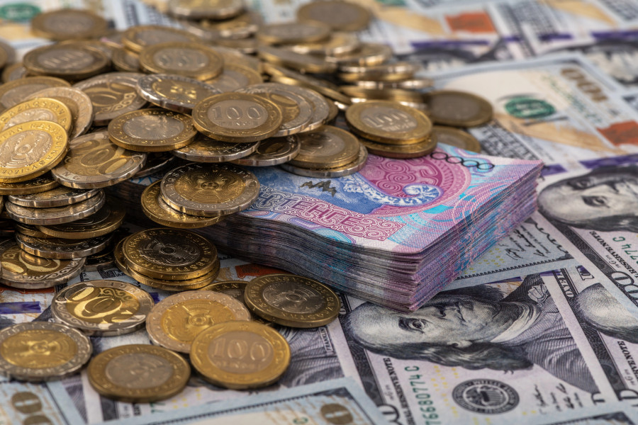 “Инфляция тым жоғары“. Үкімет пен Ұлттық банк оны төмендету үшін жоспар дайындап жатыр