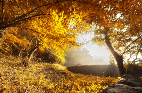 Алда күн суыта ма?