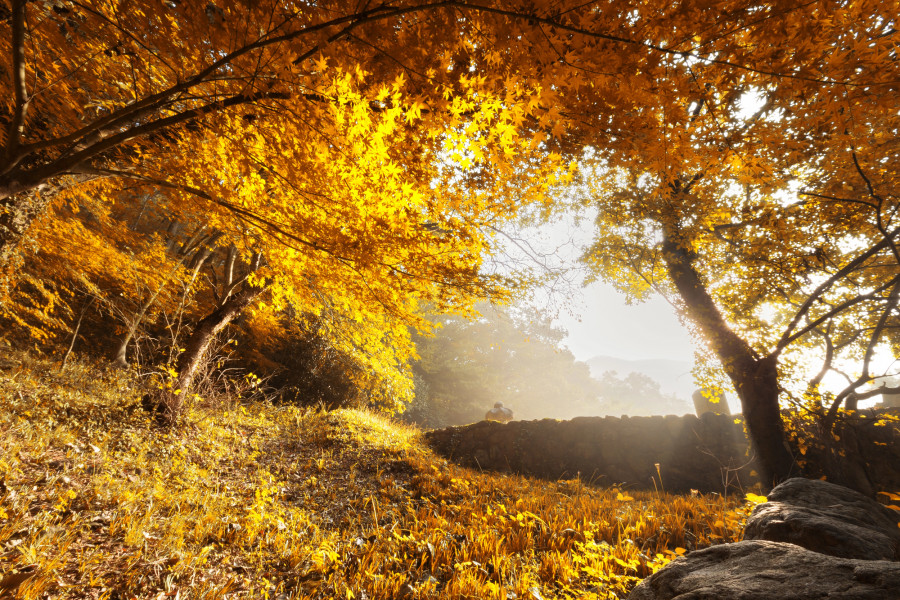 Алда күн суыта ма?