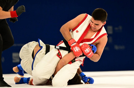 Аралас жекпе-жектен Азия ойындары: Қазақстанның қазіргі нәтижесі қандай?