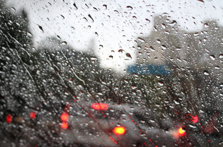 Жаңбыр жауып, тұман түседі. Бүгін ауа райы қандай болады?