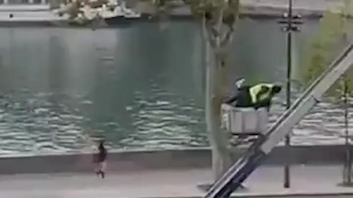 Лувр тоналды: оқиғаға қатысты тың дерек шықты