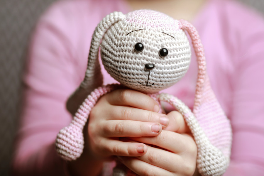 Алматы облысында жасөспірім 12 жастағы қызды зорлады деген күдікпен ұсталды