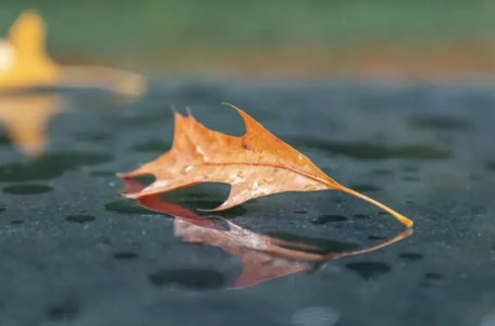 Бүгін қай өңірлерде жаңбыр мен қар жауады?