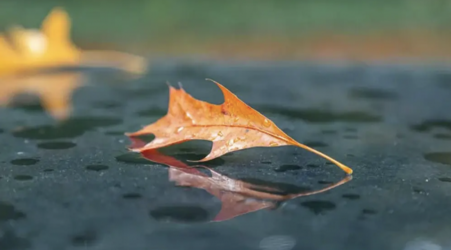 Бүгін қай өңірлерде жаңбыр мен қар жауады?