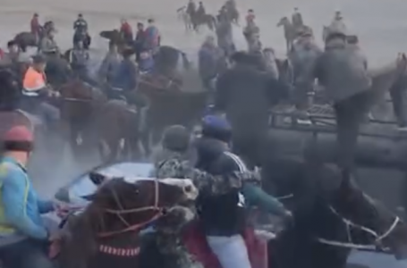 Қызылорда облысында өткен көкпар кезінде көлік жылқыларды қағып кеткен