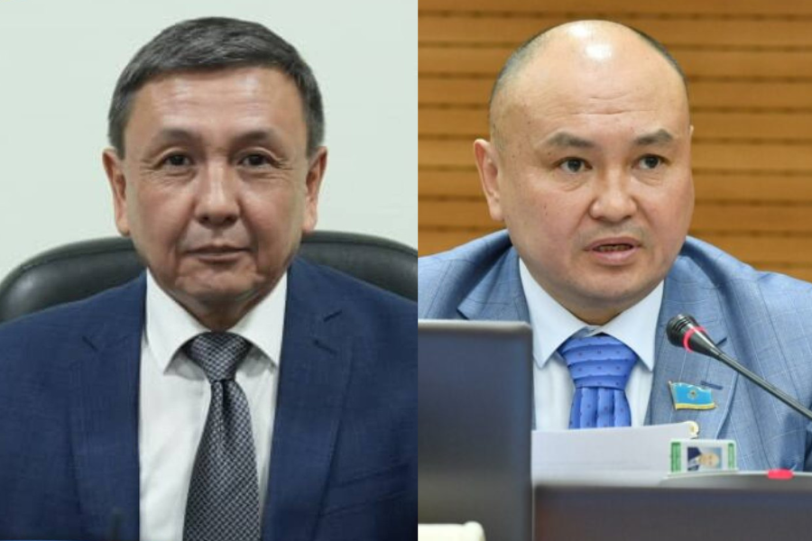 Депутаттың ағасы лауазымды қызметке тағайындалды