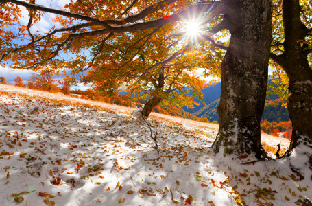 Алдағы күндері ауа райы қандай болады?