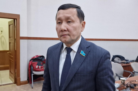 “Тоқал алуды заңдастыру керек“. Депутат тосын пікір білдірді