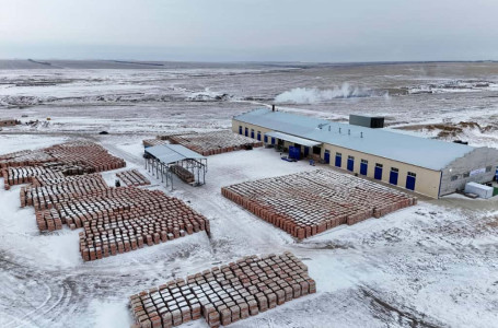 Абай облысының Бородулиха ауданында кірпіш зауыты іске қосылды