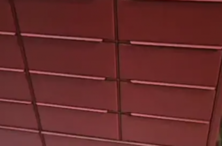 Екібастұзда мысық поштоматтың ұяшығына қамалып, өліп кете жаздады