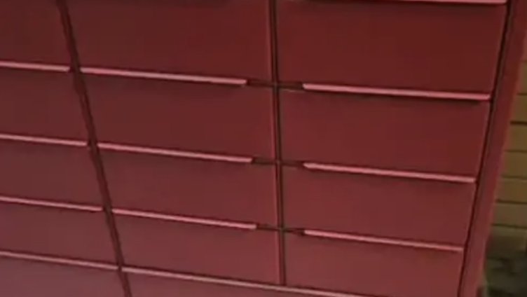 Екібастұзда мысық поштоматтың ұяшығына қамалып, өліп кете жаздады