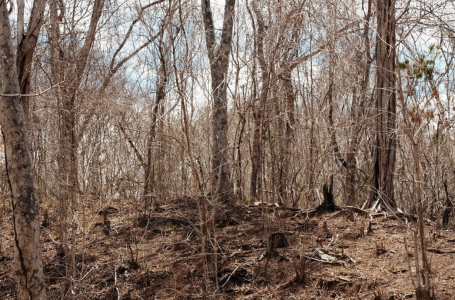 Оралда екі ай бұрын жоғалған 26 жастағы жігіт өлі табылды