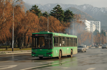 Жел, тұман: Алматы тұрғындарына ескерту жасалды