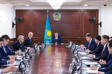 “Тым созылып кетті“. Премьер-министр Бектенов 7 өңірді сынады 