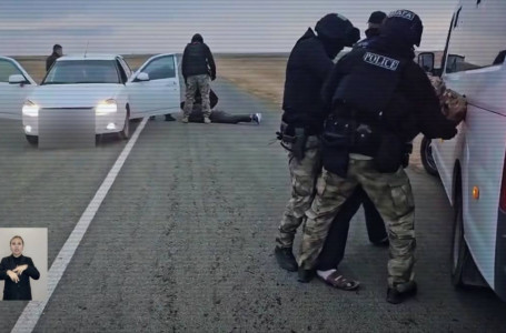 Үш облыста қылмыстық топ өрісте жүрген малды айдап әкетіп, сойып, ірі базарларда сатқан