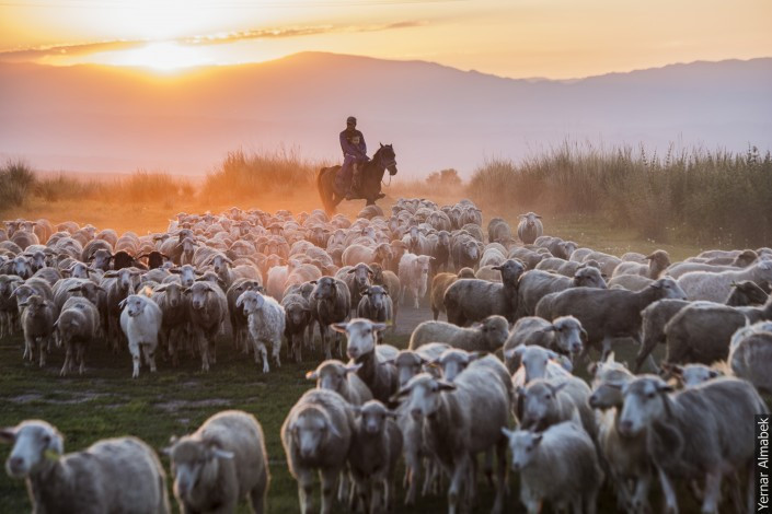 Тоқаев: “Байтақ даламыздың барлық аймағында жыл он екі ай бойы мал бағуға болады“
