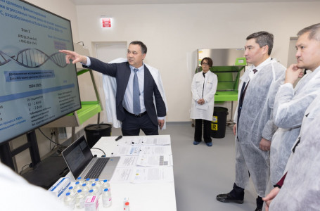 Қазақстандық ғалымдар обыр ауруына қарсы препаратты сынаудың жаңа кезеңін бастады