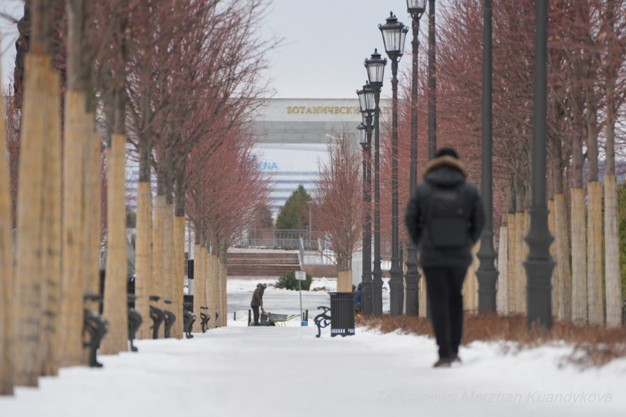 Боран соғып, көктайғақ болады: үш күнге арналған ауа райы болжамы