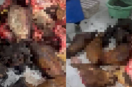 “Антисанитария“. Астанада заңсыз цехтан қап-қап ет тәркіленді