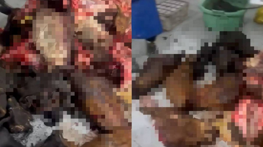 “Антисанитария“. Астанада заңсыз цехтан қап-қап ет тәркіленді