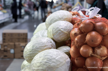 “Жұрт кредитке тамақ алып ішуге мәжбүр“. Депутат Мәжілісте өзекті мәселені көтерді