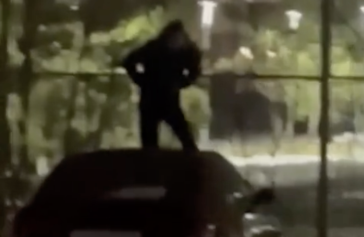 Астанада көлік үстіне шығып, секірген ер адамның видеосы тарады