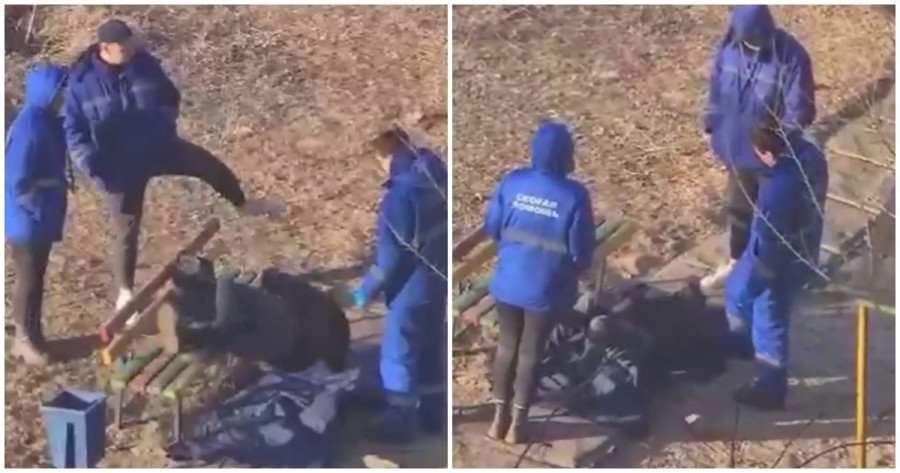 Жедел жәрдем науқасқа көмектеспей, көшеде қалдырып кеткені туралы видео тарады: қаншалық рас?