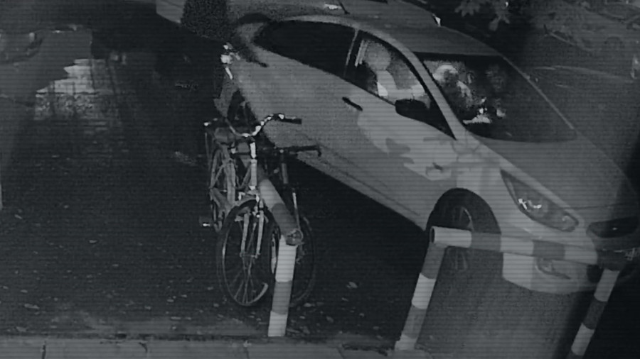 Яна Легкодимованың жантүршігерлік өлімі: қылмысқа қатысты видео жарияланды