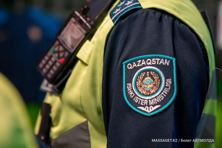 Абай облысында шетелдіктерге тиіскен екі адам ұсталды (видео)