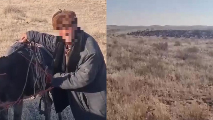 “Үш күн ұйықтамадым“. 700 қой баққан қойшы қалың тұманда адасып кеткен