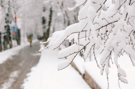 Қыс келді: алдағы күндері ауа райы қандай болады?