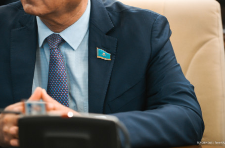 “Депутат санын тым көбейтудің қажеті жоқ“. Тоқаев жаңа Парламент туралы айтты