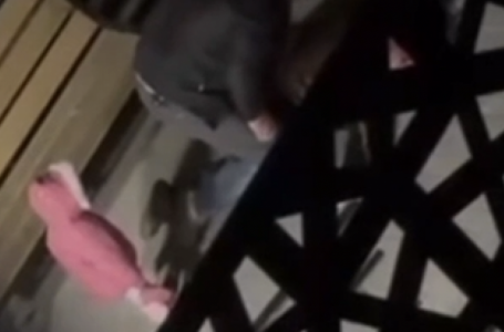 Таразда баласының көзінше әйелін сабаған ер адам ұсталды