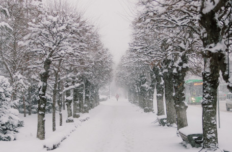 Демалыс күндері ауа райы қандай болады?